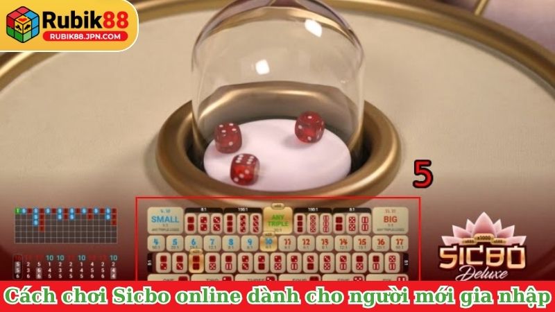 Cách chơi Sicbo online dành cho người mới gia nhập